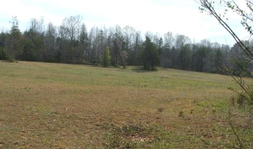 Photo #54 of 1925 Hill Cross Road, Charlotte Court House, VA 30.0 acres