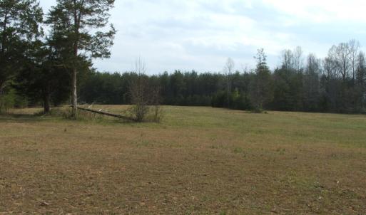Photo #61 of 1925 Hill Cross Road, Charlotte Court House, VA 30.0 acres