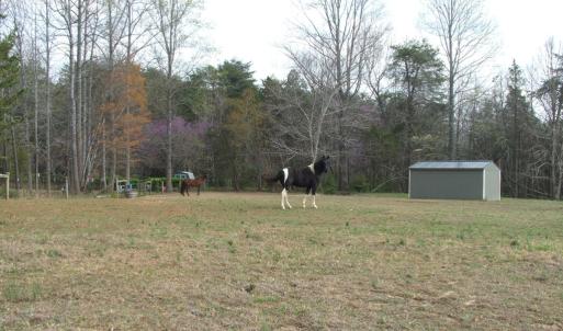 Photo #63 of 1925 Hill Cross Road, Charlotte Court House, VA 30.0 acres