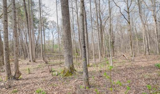 Photo #29 of 249 Gilbert Lane, Victoria, VA 5.2 acres