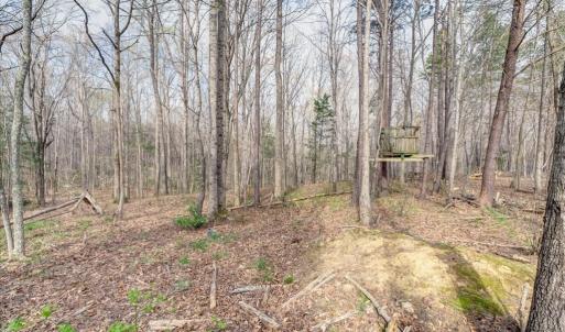 Photo #30 of 249 Gilbert Lane, Victoria, VA 5.2 acres