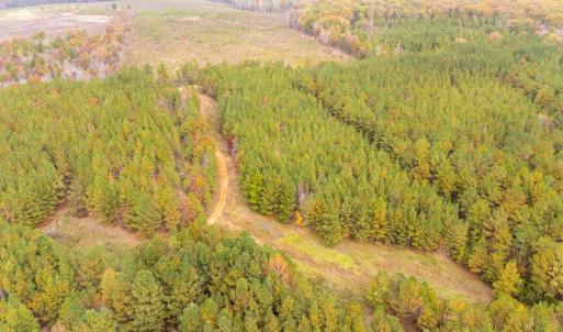 Photo #59 of 574 Old Kings Rd, Drakes Branch, VA 105.3 acres