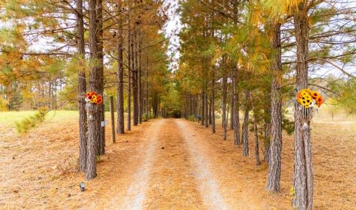 Photo #65 of 574 Old Kings Rd, Drakes Branch, VA 105.3 acres