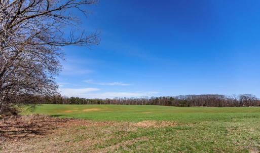 Photo #42 of 1783 Prince Edward Highway, Pamplin, VA 96.6 acres