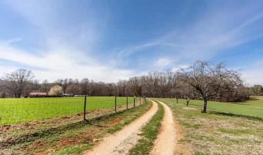 Photo #43 of 1783 Prince Edward Highway, Pamplin, VA 96.6 acres