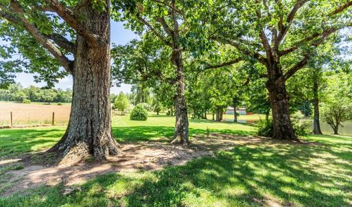 Photo #32 of 1783 Prince Edward Highway, Pamplin, VA 96.6 acres