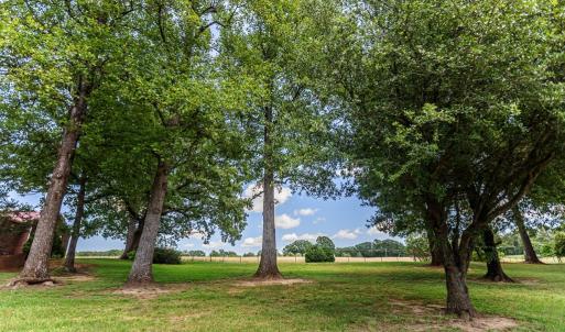 Photo #34 of 1783 Prince Edward Highway, Pamplin, VA 96.6 acres