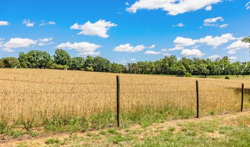 Photo #53 of 1783 Prince Edward Highway, Pamplin, VA 96.6 acres