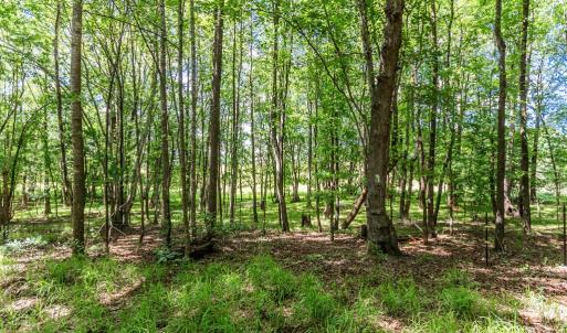 Photo #55 of 1783 Prince Edward Highway, Pamplin, VA 96.6 acres