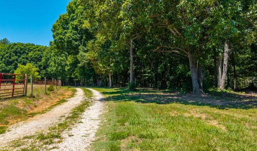 Photo #74 of 1783 Prince Edward Highway, Pamplin, VA 96.6 acres