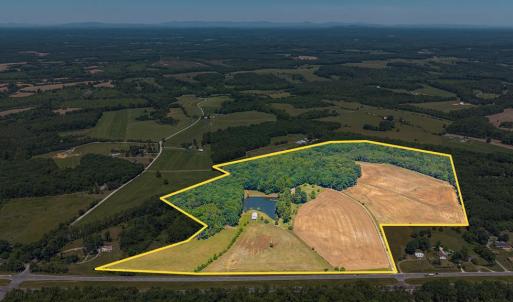 Photo #78 of 1783 Prince Edward Highway, Pamplin, VA 96.6 acres