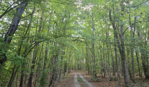 Photo #23 of 906 Equestrian Trail Rd., New Canton, VA 6.7 acres