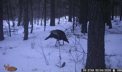 Photo #38 of 469 Jenkins Church Rd, Cumberland, VA 23.7 acres