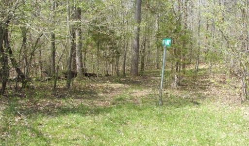 Photo #27 of 3199 County Line Road, Keysville, VA 68.8 acres
