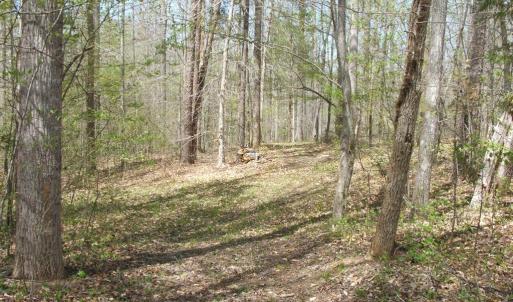 Photo #28 of 3199 County Line Road, Keysville, VA 68.8 acres