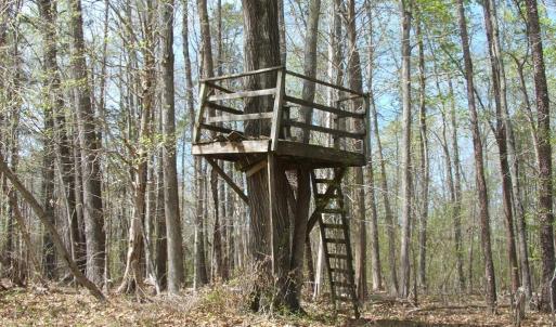 Photo #29 of 3199 County Line Road, Keysville, VA 68.8 acres