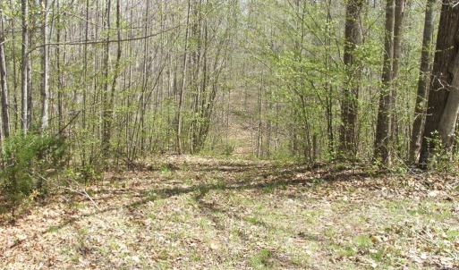 Photo #30 of 3199 County Line Road, Keysville, VA 68.8 acres
