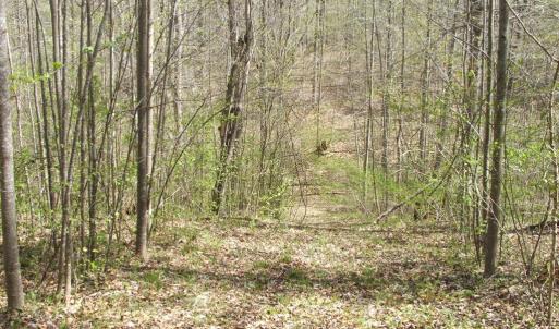 Photo #31 of 3199 County Line Road, Keysville, VA 68.8 acres