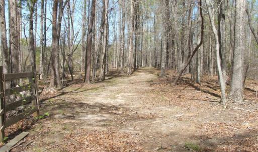 Photo #39 of 3199 County Line Road, Keysville, VA 68.8 acres