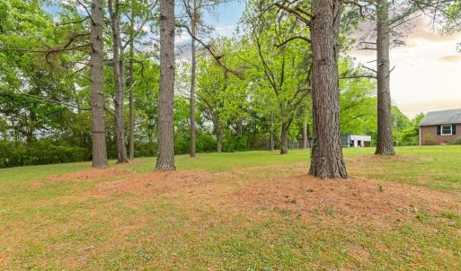 Photo #42 of 836 Dobbins Bridge Rd, Blackstone, VA 4.2 acres