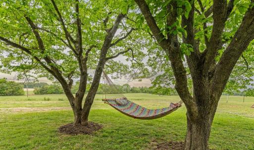 Photo #46 of 836 Dobbins Bridge Rd, Blackstone, VA 4.2 acres