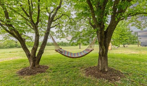 Photo #47 of 836 Dobbins Bridge Rd, Blackstone, VA 4.2 acres