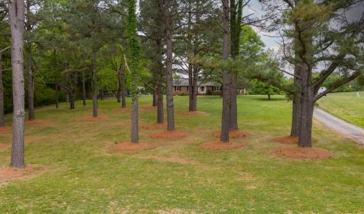 Photo #61 of 836 Dobbins Bridge Rd, Blackstone, VA 4.2 acres