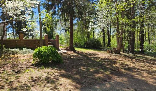 Photo #4 of 3271 Rosney, Dillwyn, VA 1.7 acres