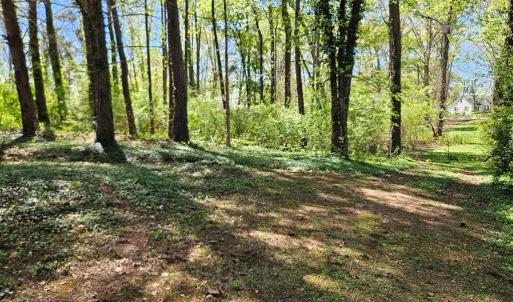 Photo #35 of 3271 Rosney, Dillwyn, VA 1.0 acres