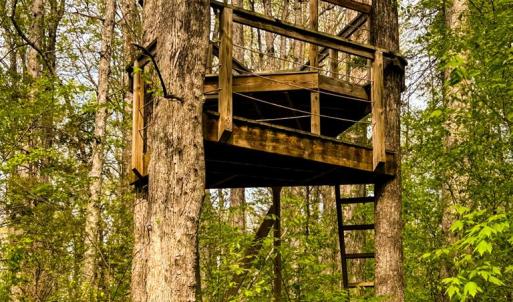 Photo #24 of 171 Bigger, Cumberland, VA 3.8 acres