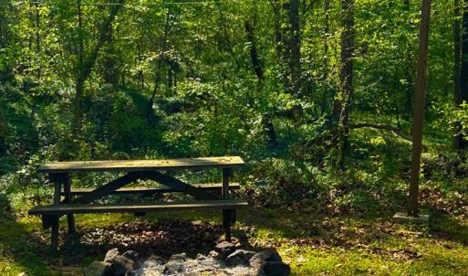 Photo #28 of 171 Bigger, Cumberland, VA 3.8 acres