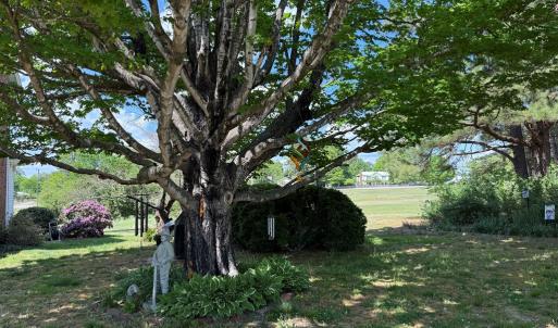 Photo #41 of 712 Rices Depot Rd, Rice, VA 1.8 acres