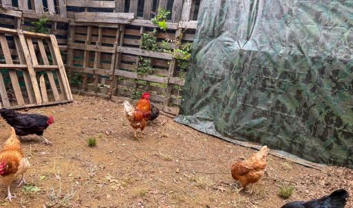 Photo #27 of 1370 Hunters Lane, Chase City, VA 4.6 acres