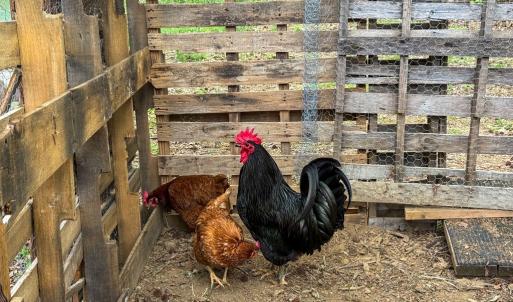 Photo #28 of 1370 Hunters Lane, Chase City, VA 4.6 acres