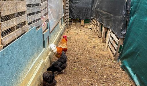 Photo #29 of 1370 Hunters Lane, Chase City, VA 4.6 acres