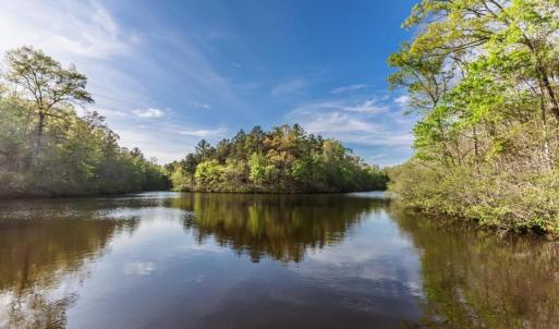 Photo #6 of 278 Salt Lick Lane, Appomattox, VA 50.6 acres