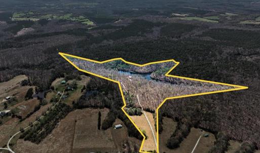 Photo #71 of 278 Salt Lick Lane, Appomattox, VA 50.6 acres