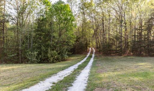 Photo #73 of 278 Salt Lick Lane, Appomattox, VA 50.6 acres