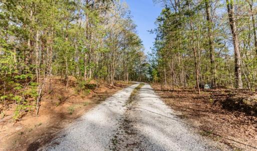 Photo #74 of 278 Salt Lick Lane, Appomattox, VA 50.6 acres