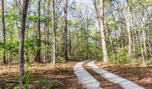 Photo #75 of 278 Salt Lick Lane, Appomattox, VA 50.6 acres