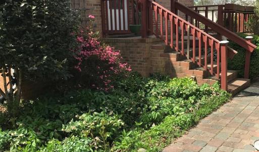 Photo #18 of 2501 Whitehead Road, Keysville, VA 9.5 acres