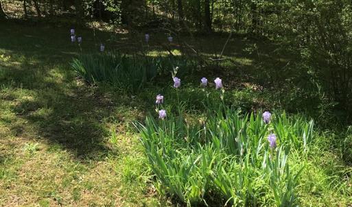 Photo #24 of 2501 Whitehead Road, Keysville, VA 9.5 acres