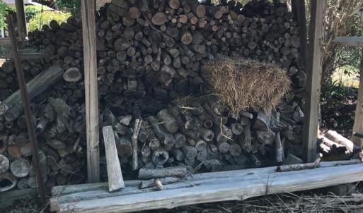 Photo #34 of 2501 Whitehead Road, Keysville, VA 9.5 acres