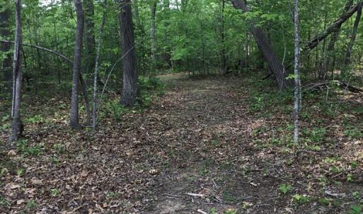 Photo #47 of 2501 Whitehead Road, Keysville, VA 9.5 acres