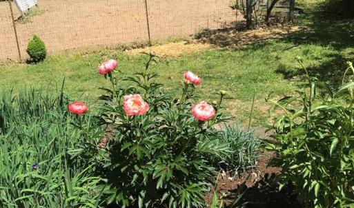 Photo #29 of 2501 Whitehead Road, Keysville, VA 9.5 acres