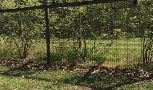 Photo #38 of 2501 Whitehead Road, Keysville, VA 9.5 acres