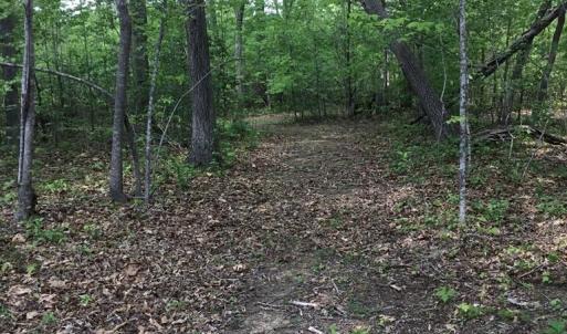 Photo #73 of 2501 Whitehead Road, Keysville, VA 9.5 acres