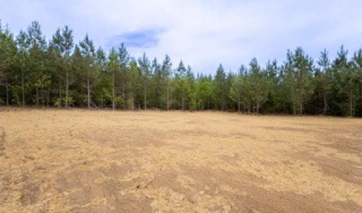 Photo #51 of 16519 Richmond Highway, Pamplin, VA 2.2 acres
