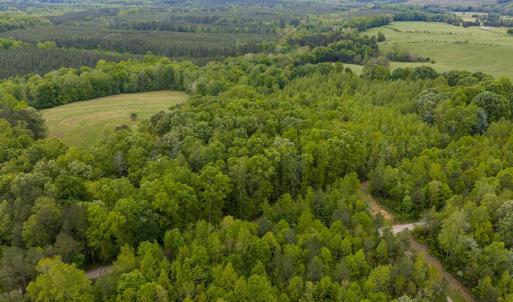 Photo #51 of 3537 Hardy Road, Keysville, VA 39.3 acres