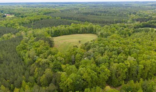 Photo #53 of 3537 Hardy Road, Keysville, VA 39.3 acres